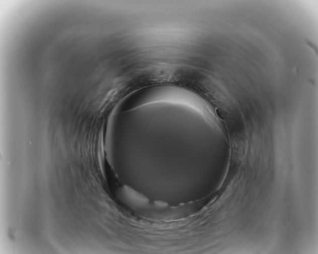 X0000095110035200712141202