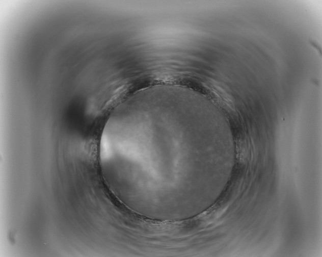 X0000095110036200712141202