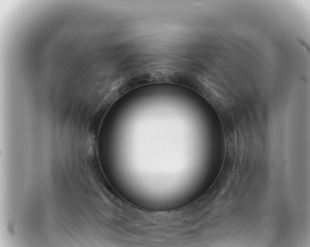 X0000095110038200712141202