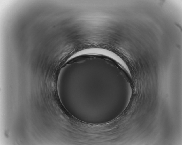 X0000095110039200712141201