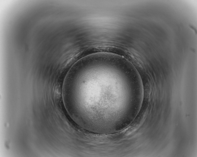 X0000095110040200712141201