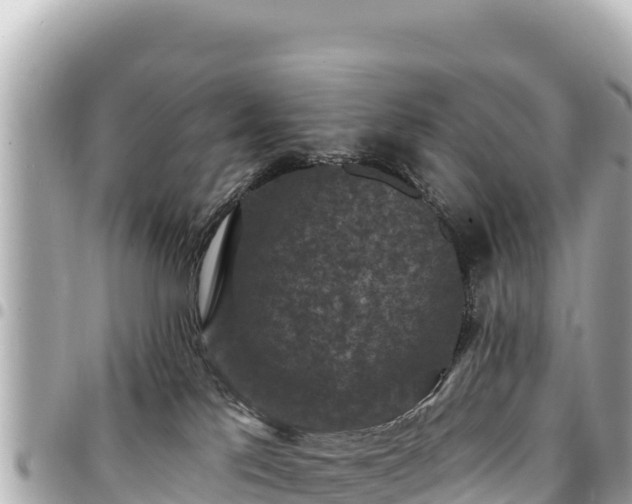 X0000095110041200712141201