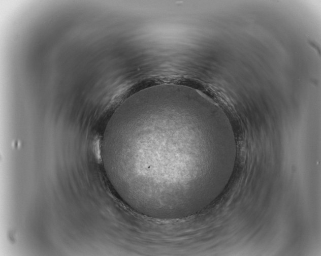 X0000095110042200712141201