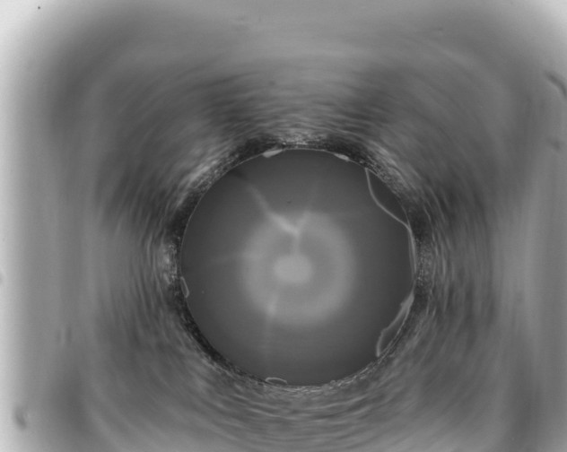 X0000095110043200712141201