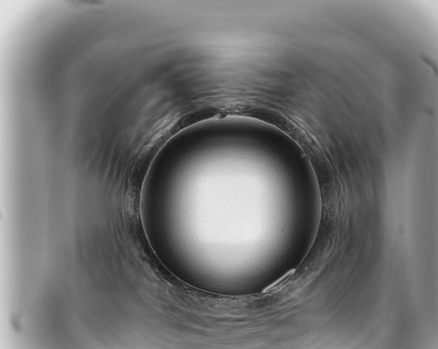 X0000095110044200712141201