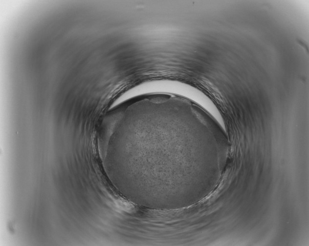 X0000095110045200712141201