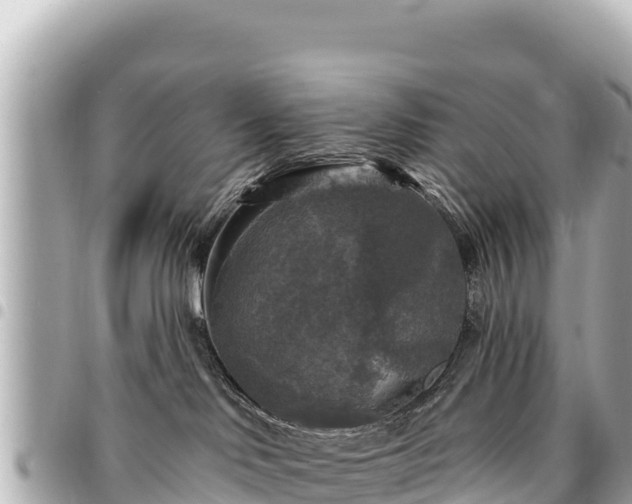 X0000095110046200712141201