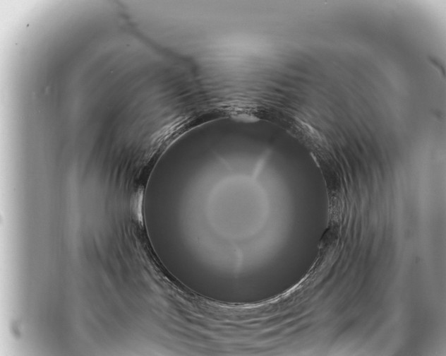 X0000095110047200712141201