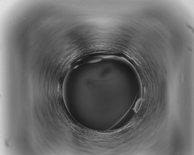 X0000095110048200712141201