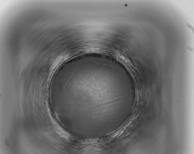 X0000095110049200712141201