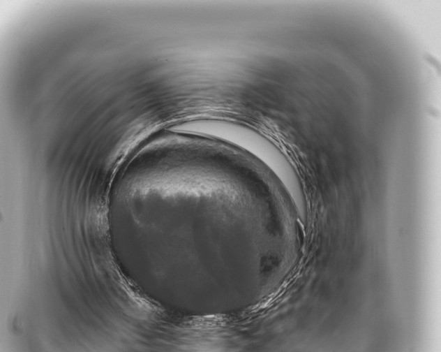 X0000095110050200712141201