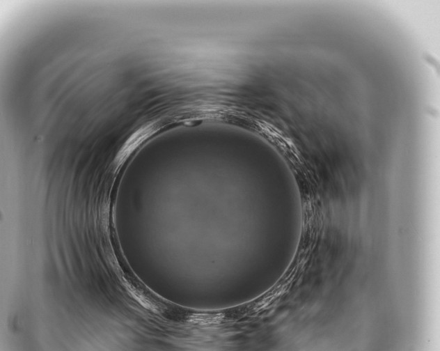 X0000095110051200712141201