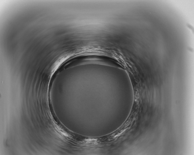 X0000095110052200712141201