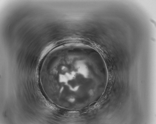 X0000095110053200712141201