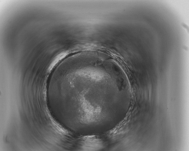 X0000095110054200712141201