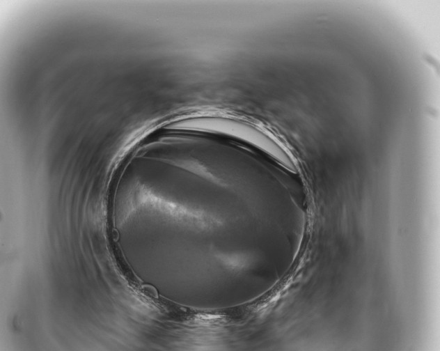 X0000095110055200712141201