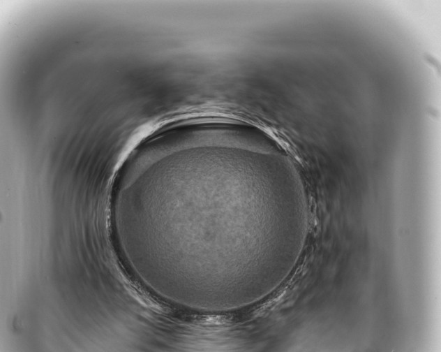 X0000095110056200712141201