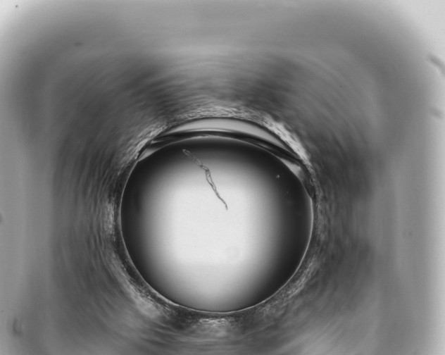 X0000095110057200712141201