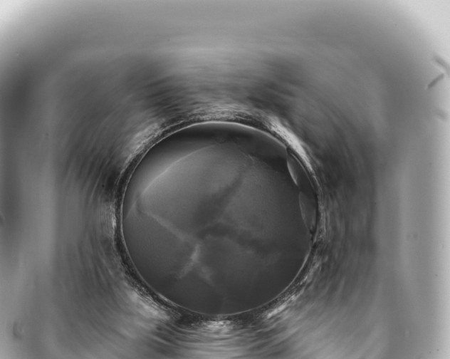 X0000095110059200712141201