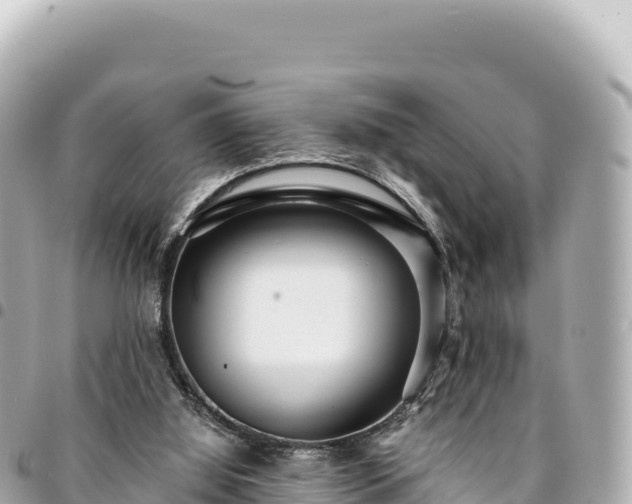 X0000095110060200712141201