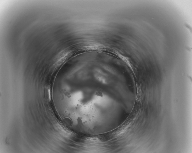 X0000095110061200712141201