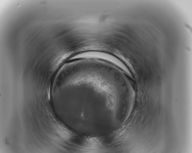 X0000095110062200712141201