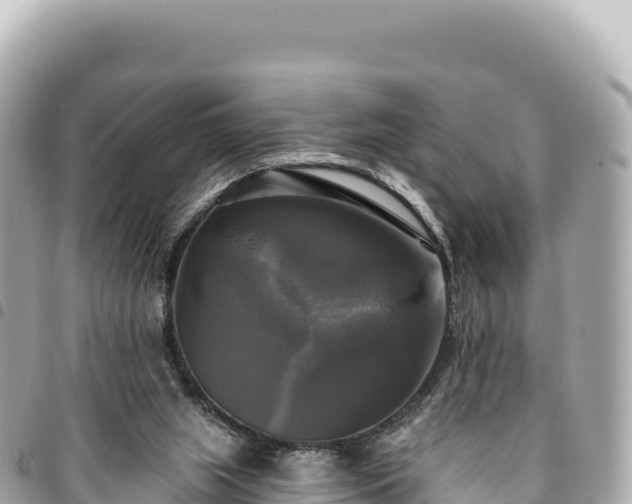 X0000095110063200712141201