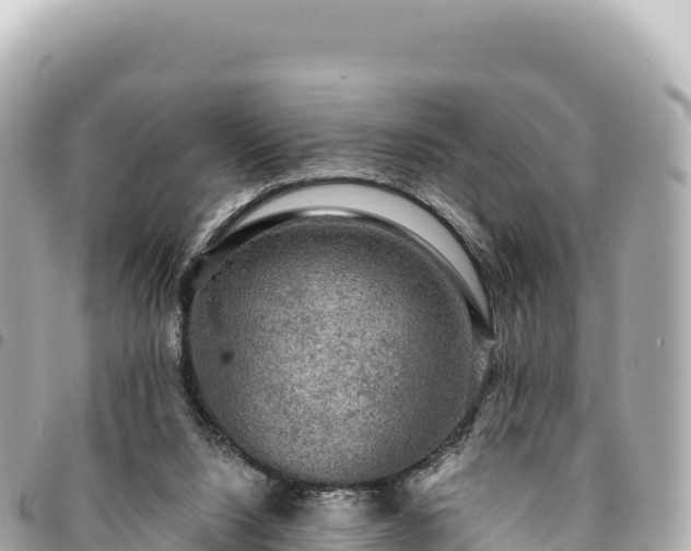 X0000095110064200712141201