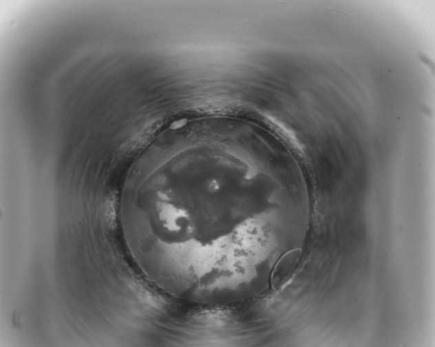 X0000095110065200712141201