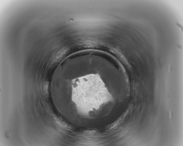 X0000095110066200712141201