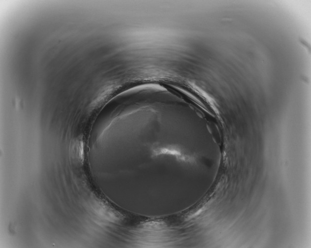 X0000095110067200712141201