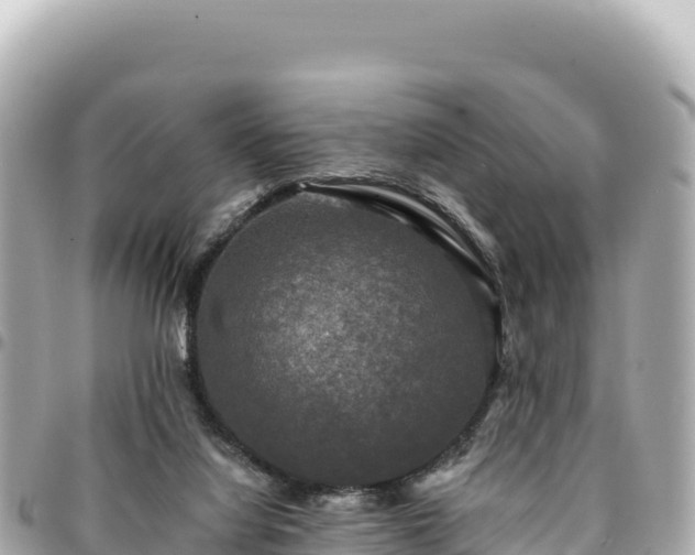 X0000095110068200712141201