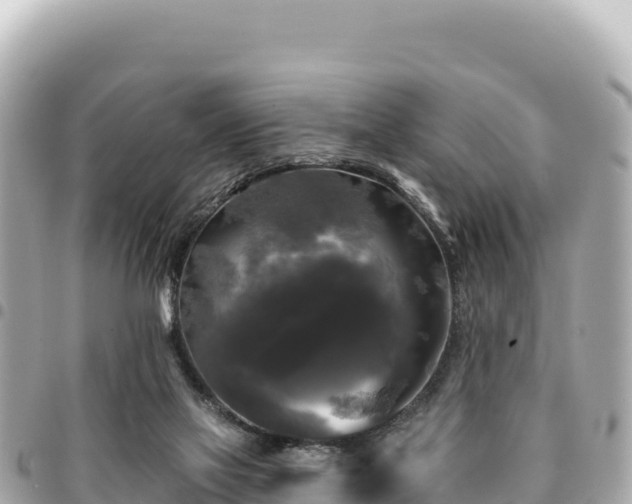 X0000095110069200712141201