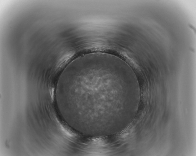 X0000095110070200712141201