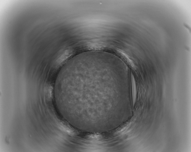 X0000095110071200712141201