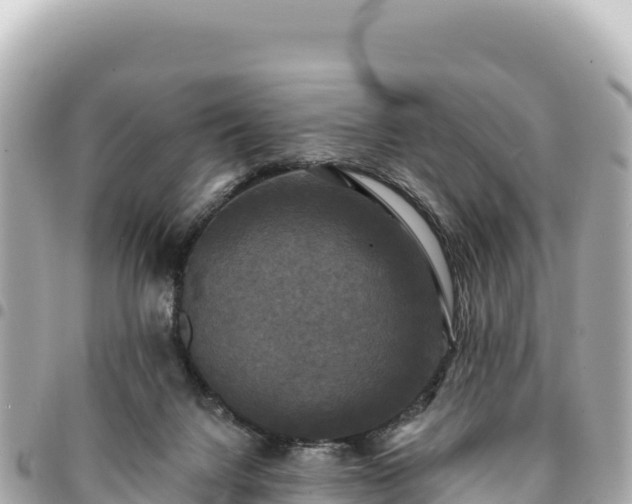 X0000095110072200712141201