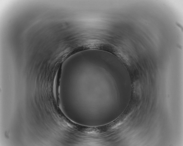 X0000095110073200712141201