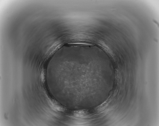 X0000095110074200712141201