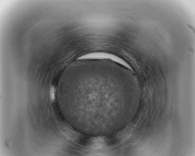 X0000095110075200712141201