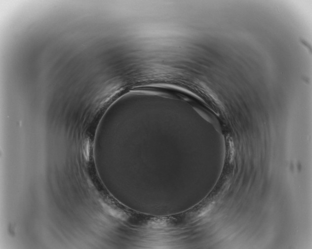 X0000095110076200712141201