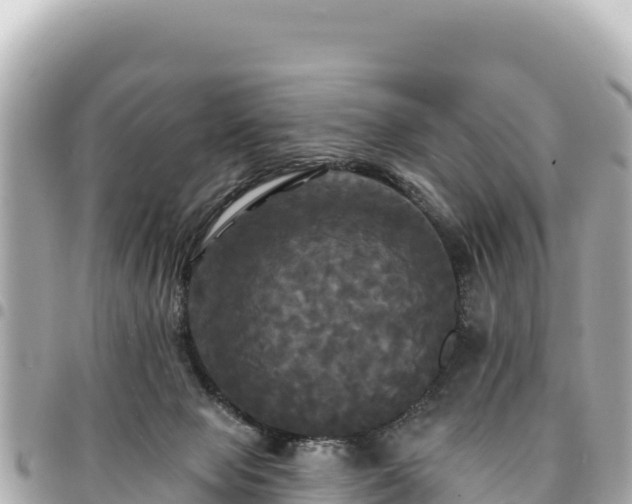 X0000095110077200712141201