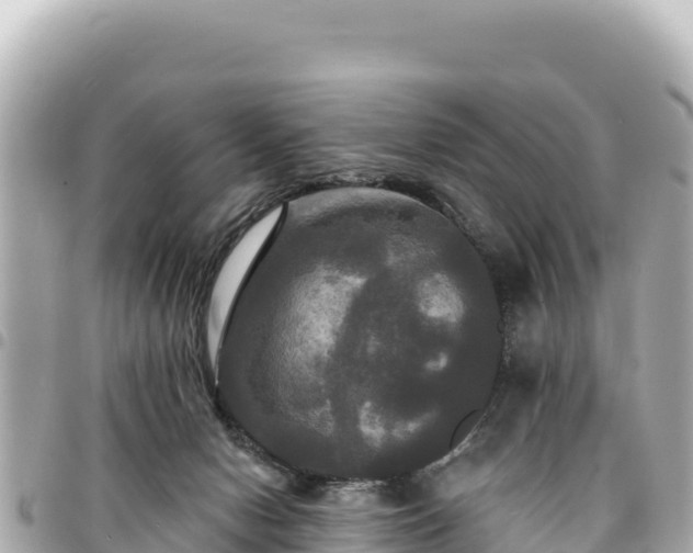 X0000095110078200712141201