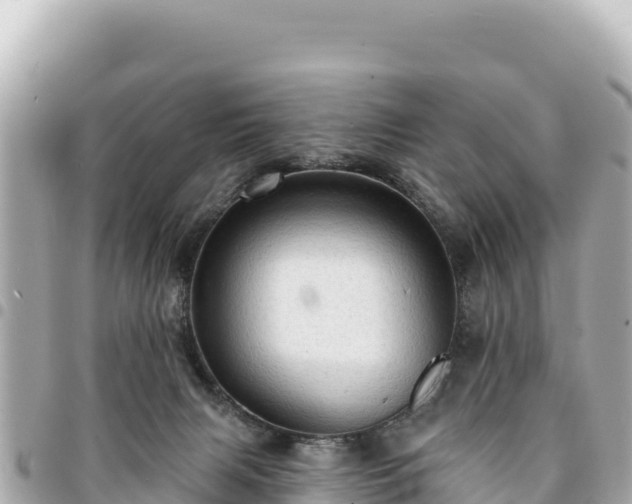 X0000095110079200712141201