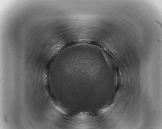 X0000095110080200712141201