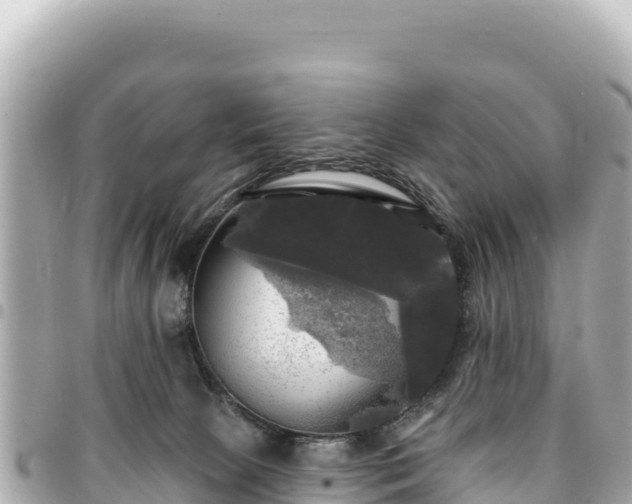 X0000095110081200712141201