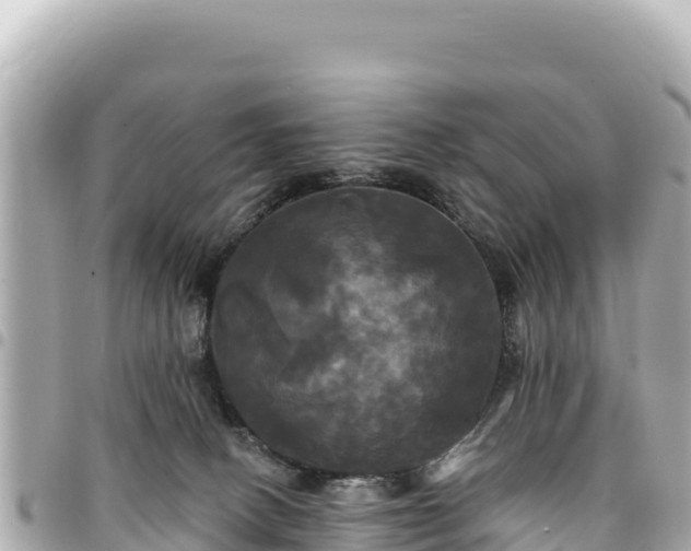 X0000095110082200712141201