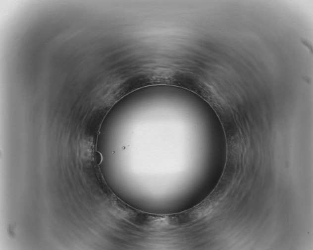 X0000095110083200712141201