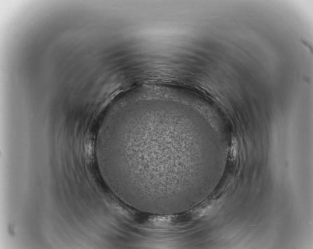 X0000095110084200712141201