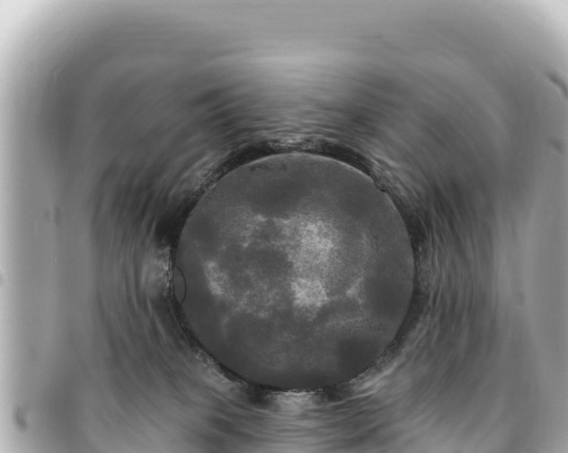 X0000095110085200712141201