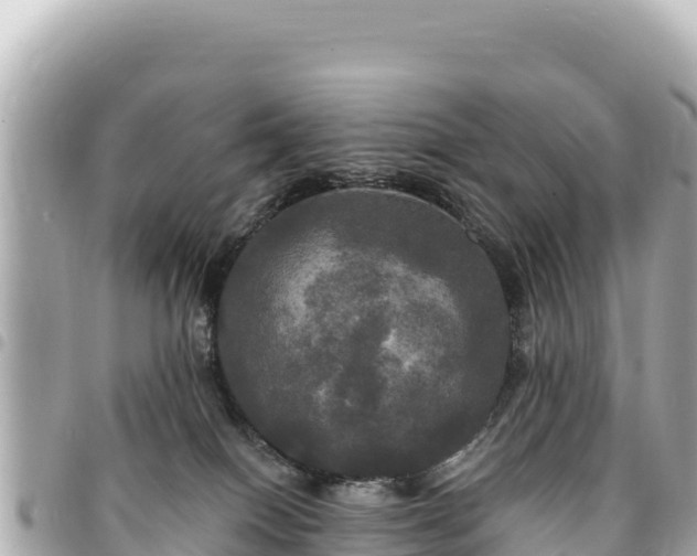 X0000095110086200712141201